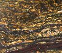 Polished Tiger Iron Stromatolite - ( Billion Years) #38918-1